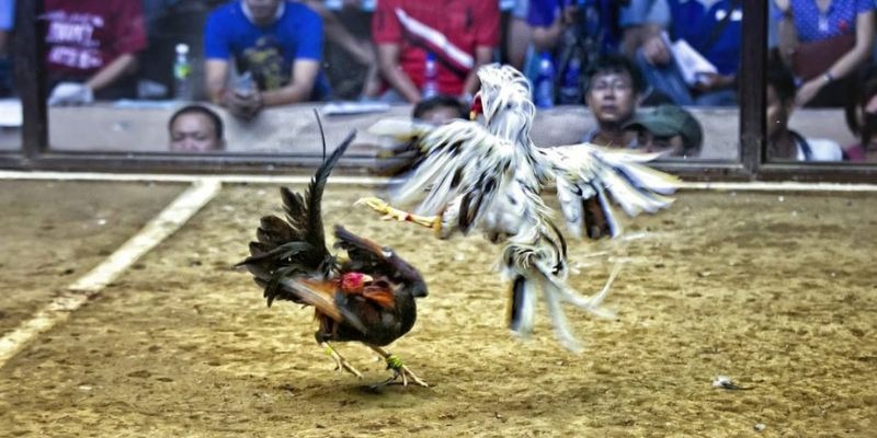 win79 ﻿đăng nhập lô đề uy tín