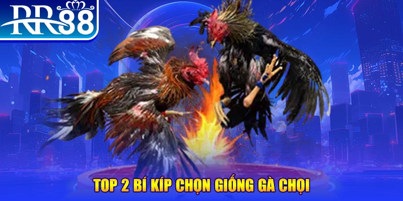 win79 bắn cá h5