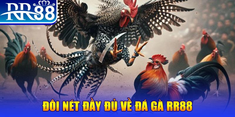 win79 gà chọi hoà phong