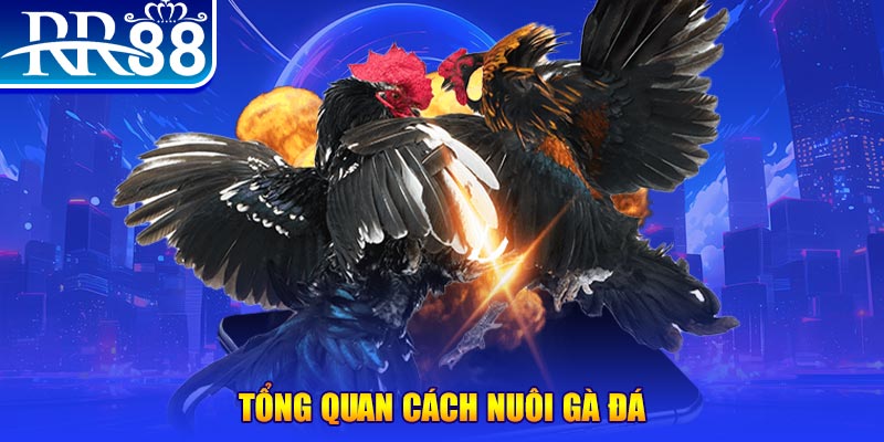 win79 xổ số thứ ba