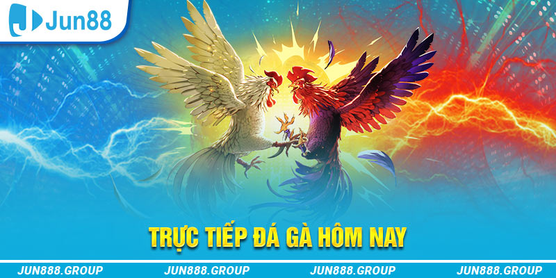 win79 trực tiếp đá gà thomo