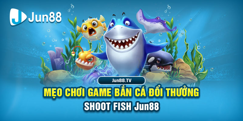 win79 tải game đánh bài online về máy tính