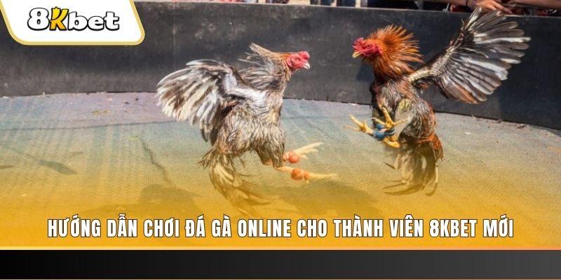win79 nổ hũ đổi thưởng . ai