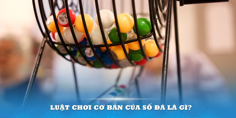 win79 Đĩa màu ace
