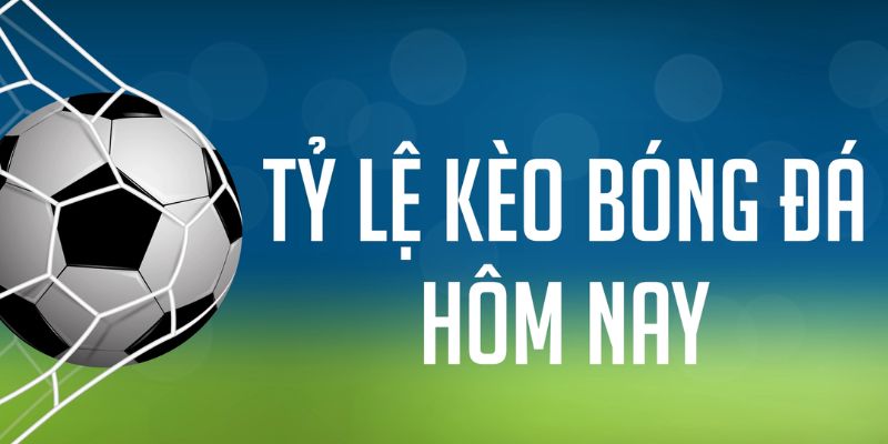 win79 ÁT CHỦ MÁY HOA QUẢ THẦN TÀI