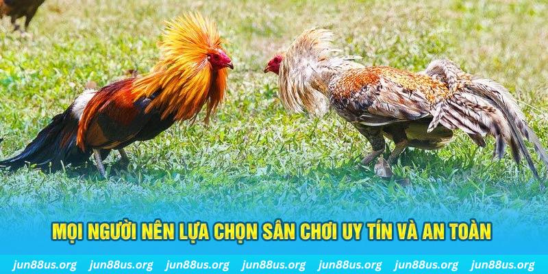 win79 Tài Xỉu