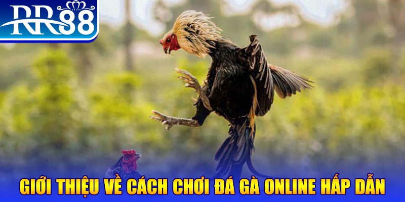 win79 what is a video slot