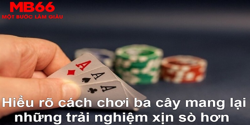 win79 DB Trực Tuyến