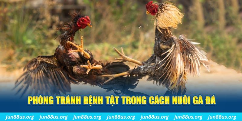 win79 natural” trong baccarat nghĩa là gì？