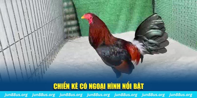 win79 nhạc slot là gì
