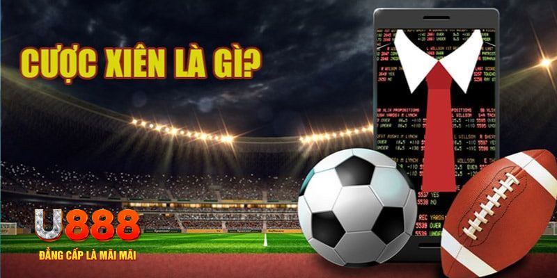 win79 đá gà thomo hôm nay